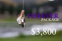 Forever Package - $3800